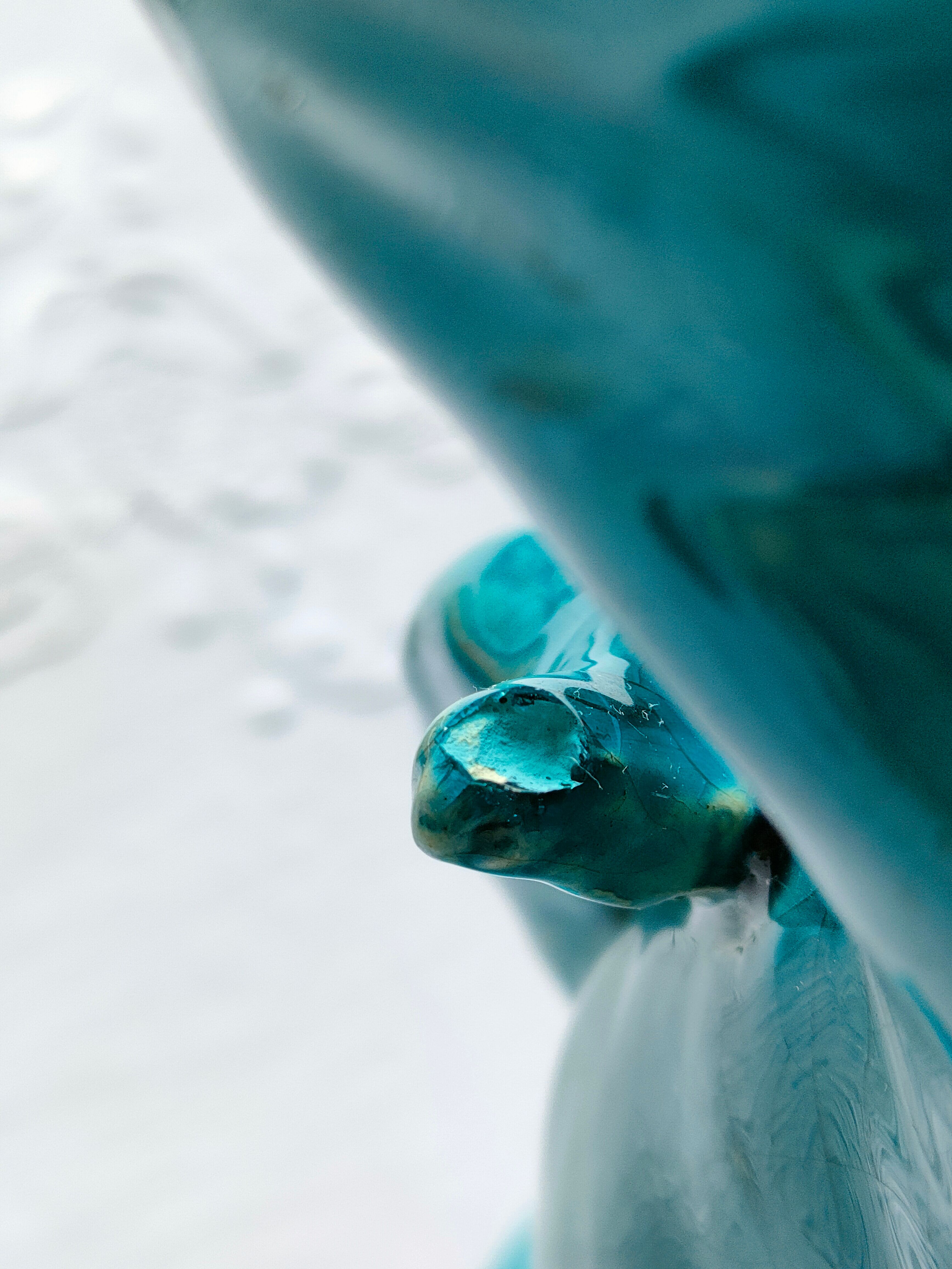Clément Massier - Elephant Gardener