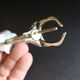 True sugar tongs The Crab