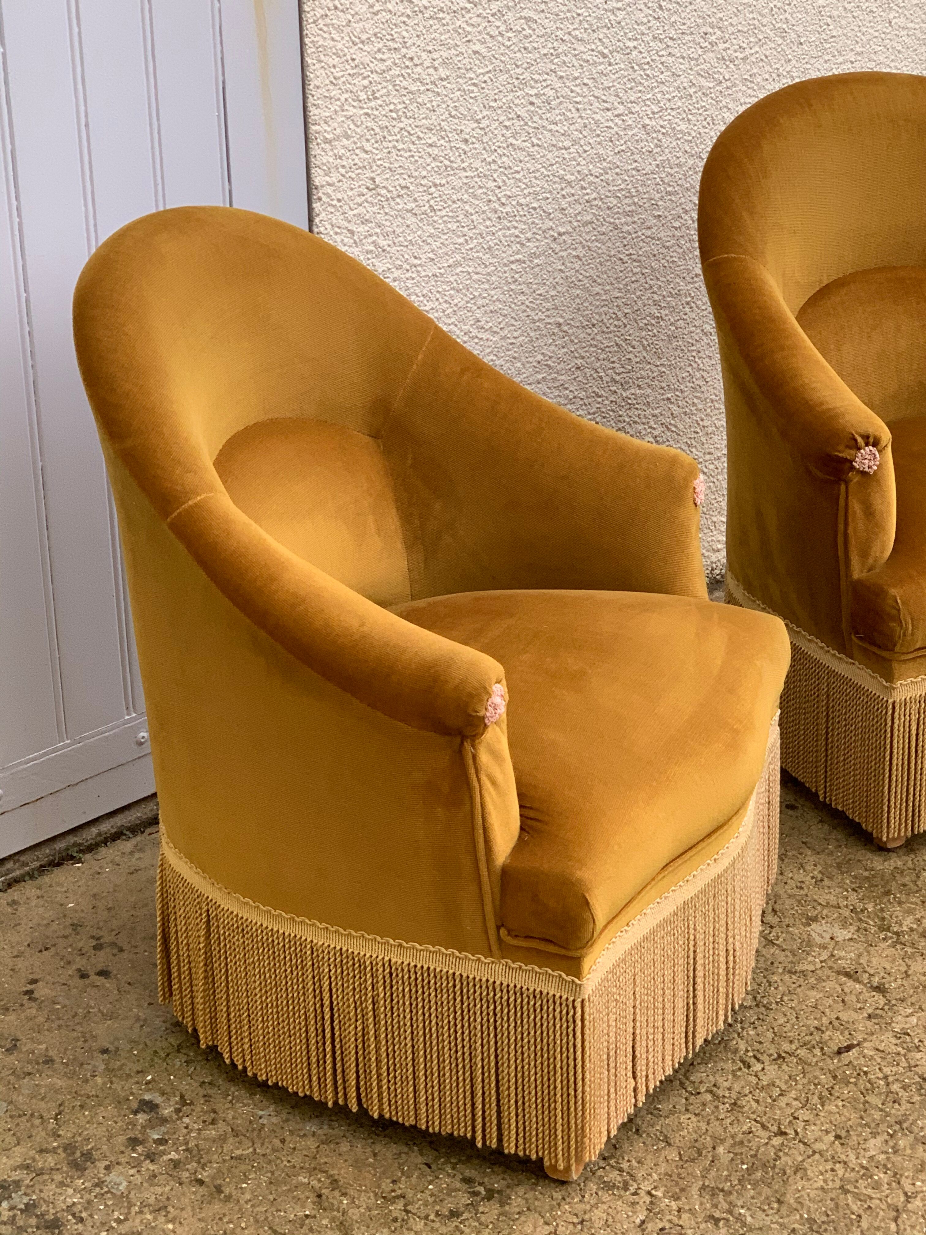 Pair of golden velvet toad armchairs 1970