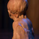 Young girl in bust, 19th century