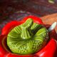 Vintage pepper slip / red and green ceramic covered pot / sugar bowl