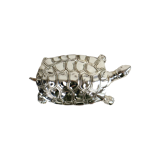 Metal tortoise silver box mini chest jewelery 17cm