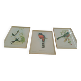 Paintings