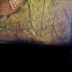 Painting Arturo Alcala