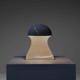 Metal 'Dania' table lamp by Dario Tognon and Studio Celli for Artemide