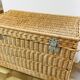 Wicker trunk