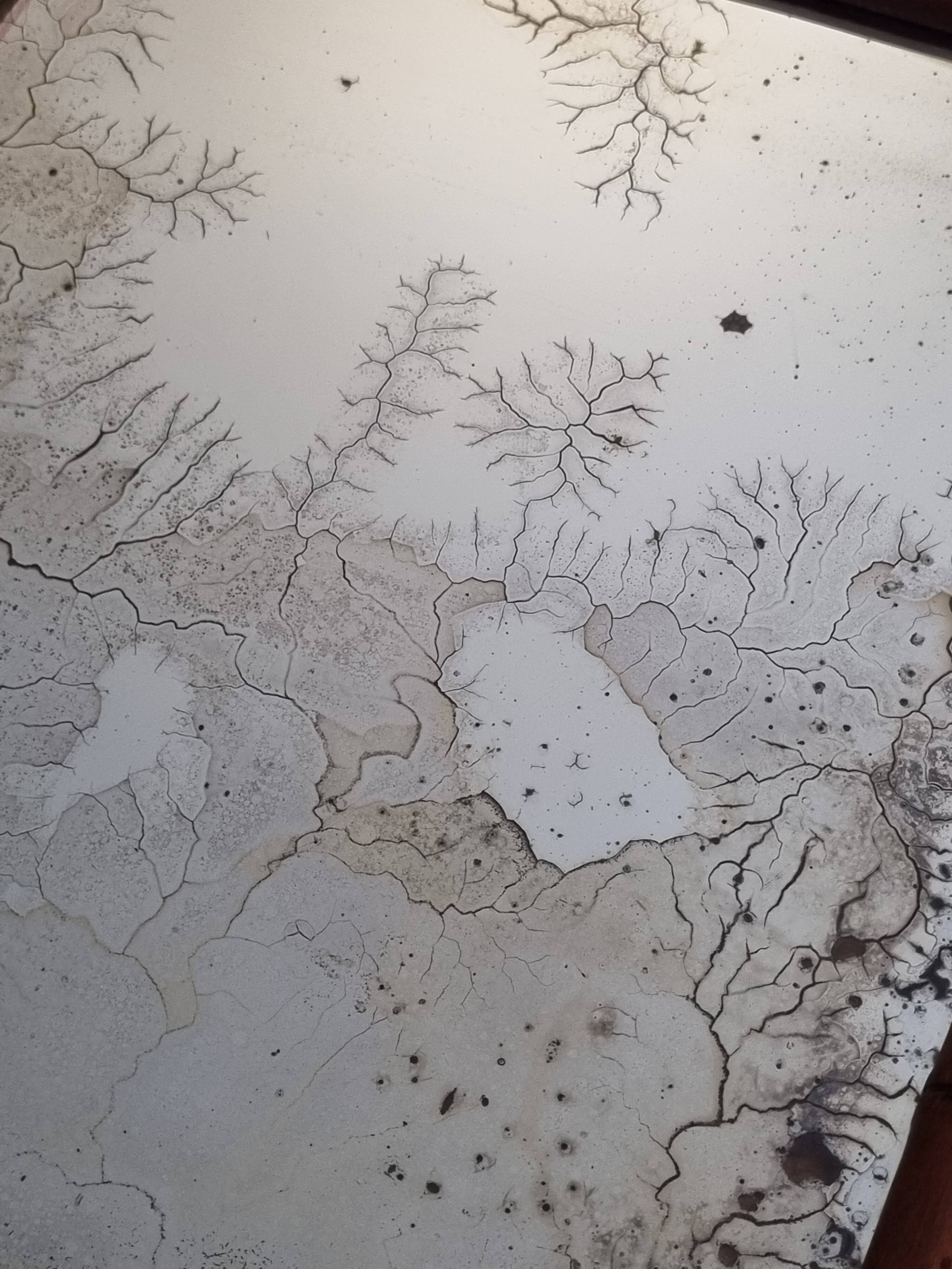 Antique mirror in turned wood imitating bamboo, 43 x 49 cm