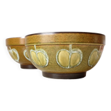 2 glazed ceramic salad bowls, stylized apples, 1970