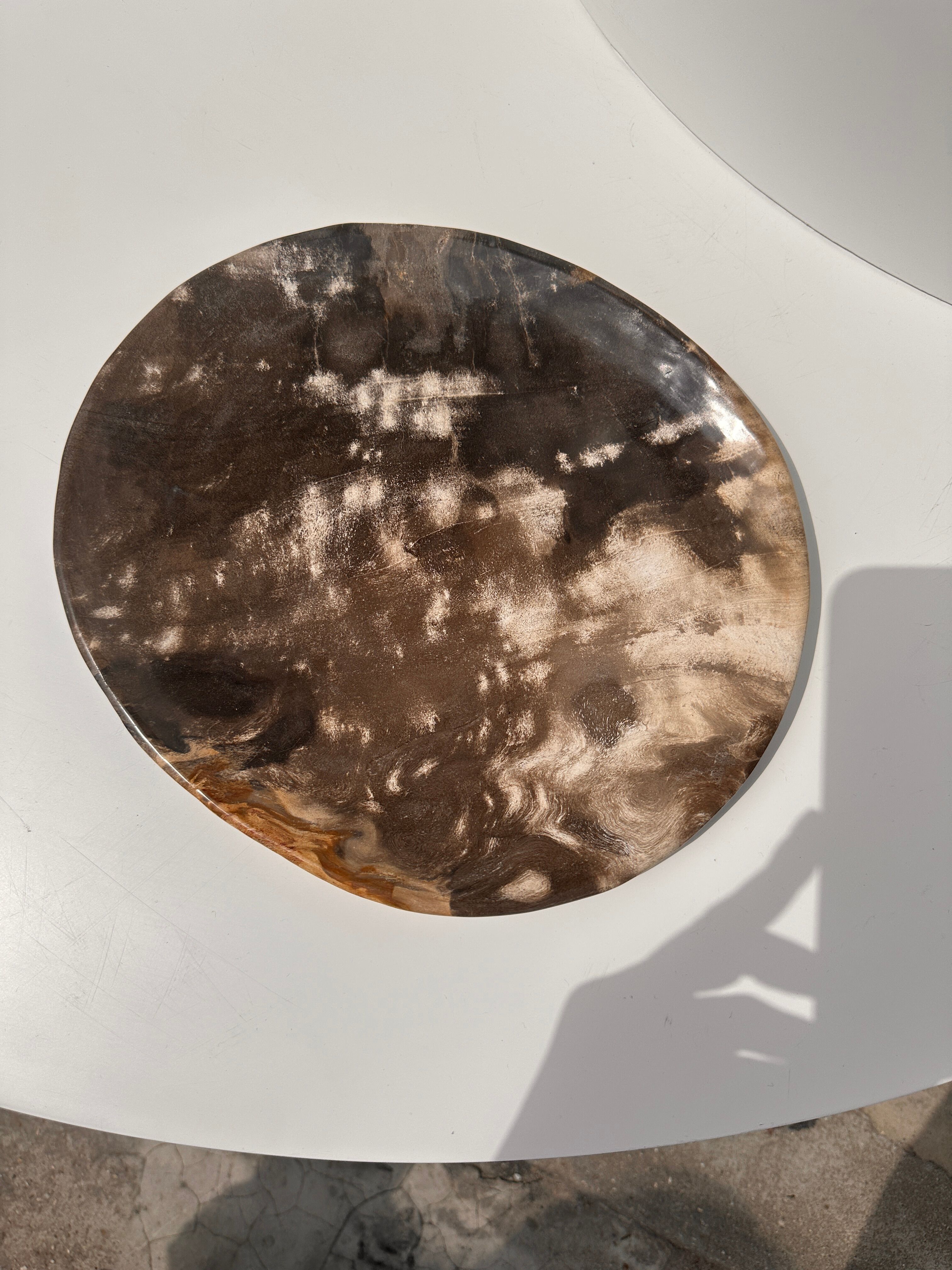 Dish in petrified wood