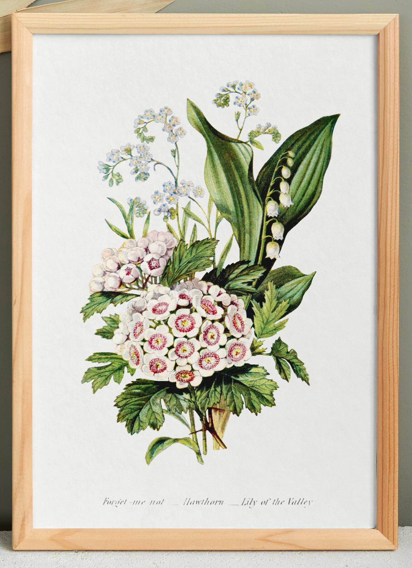 Poster about “lily of the valley, forget-me-not and hawthorn”