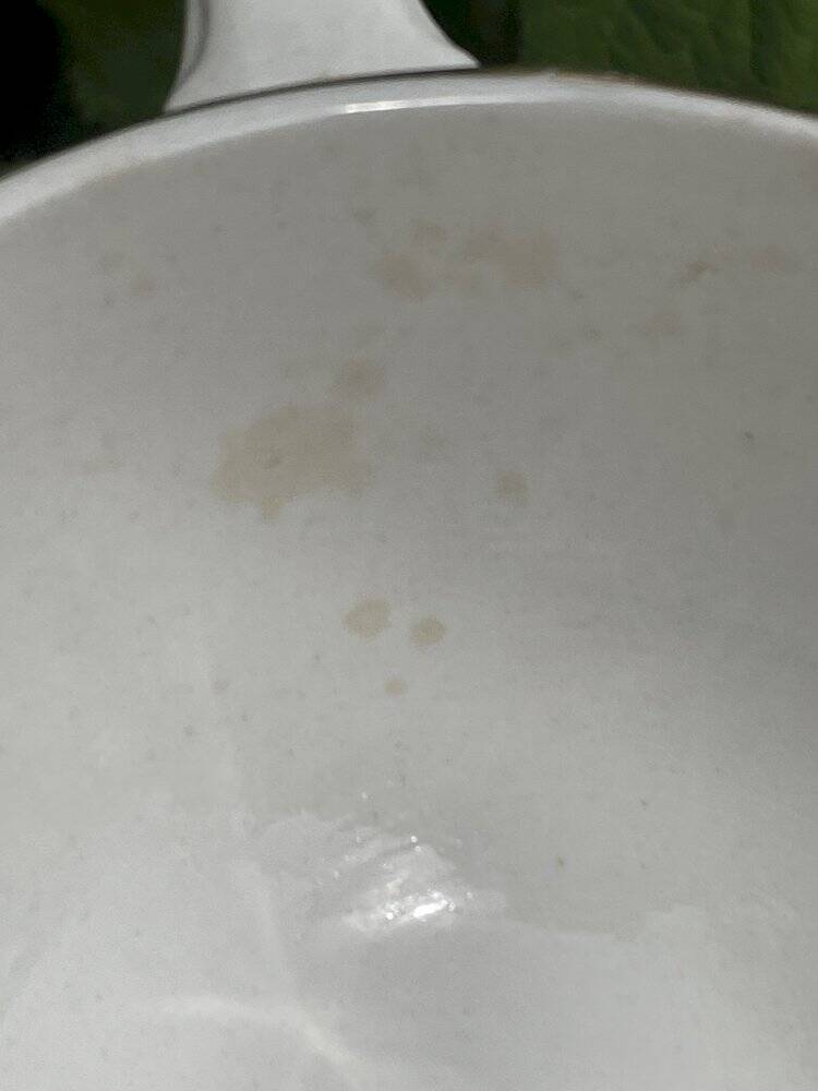 Pretty creamery Poreylor