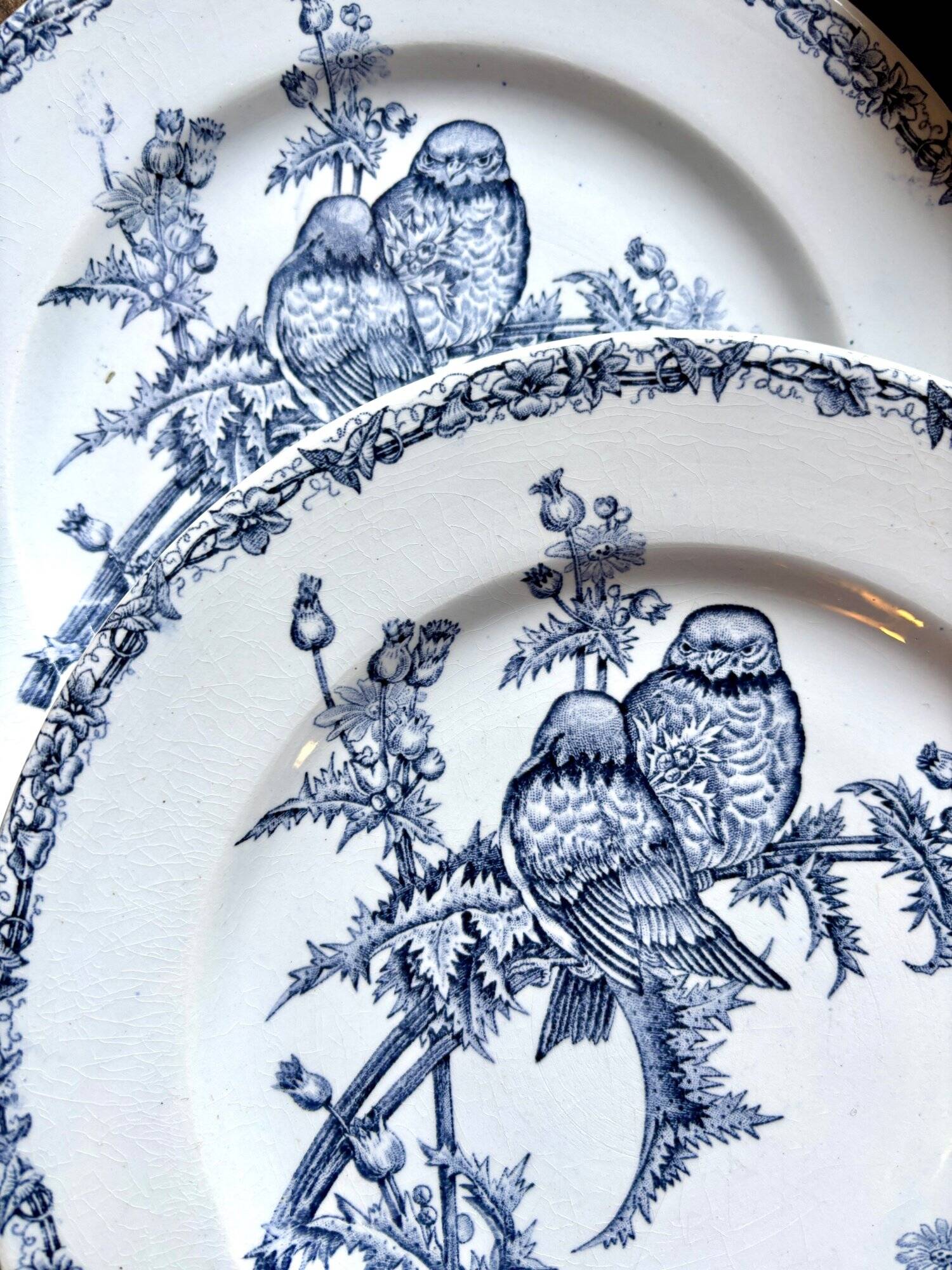 6 flat plates Clairefontaine - Léon Graves in ironstone, "Chardonnerets" service from the late 19th century.