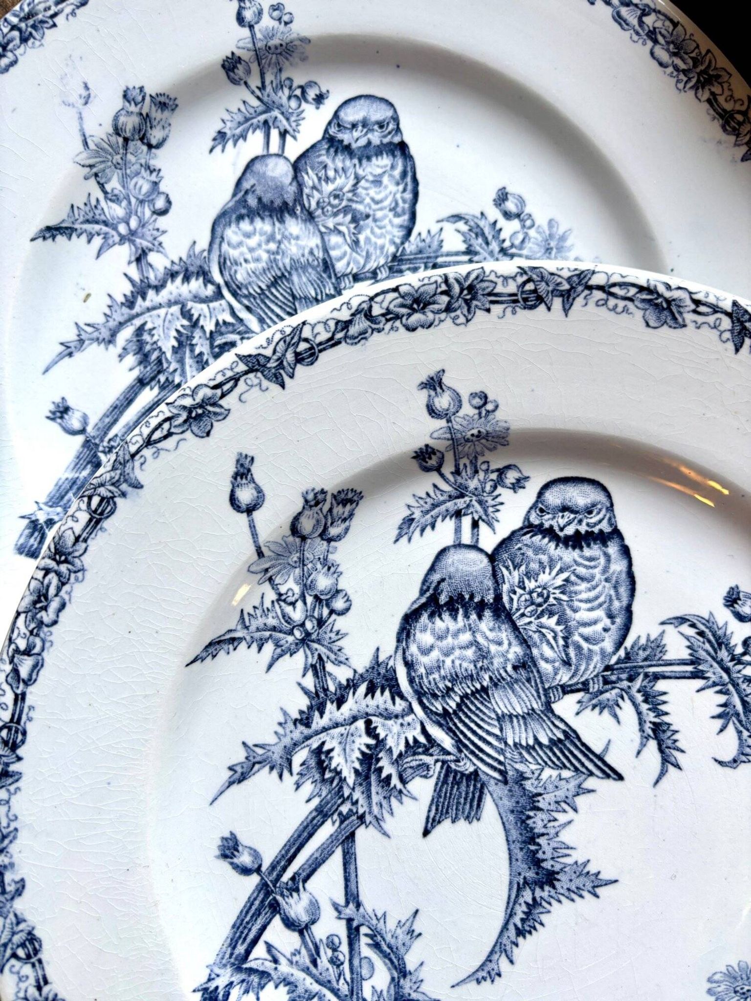 6 flat plates Clairefontaine - Léon Graves in ironstone, "Chardonnerets" service from the late 19th century.