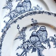 6 flat plates Clairefontaine - Léon Graves in ironstone, "Chardonnerets" service from the late 19th century.