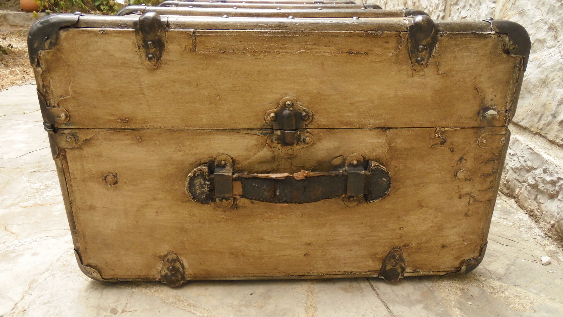 Old trunk patina