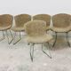 Set of 10 Wire chairs by Harry Bertoia for Knoll