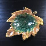 Empty autumn leaf pocket
