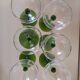 White wine glasses in crystal.