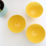 6 yellow bowls Moulin des Loups
