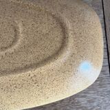 Dish
