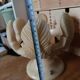 Coupe centre de table en albâtre sculpté Sarreal