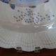 Fish plate limoges "corail la mer" porcelain a. giraud & cie sauviat
