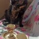 2 Henriot Bousquet Quimper egg cups from the 50s