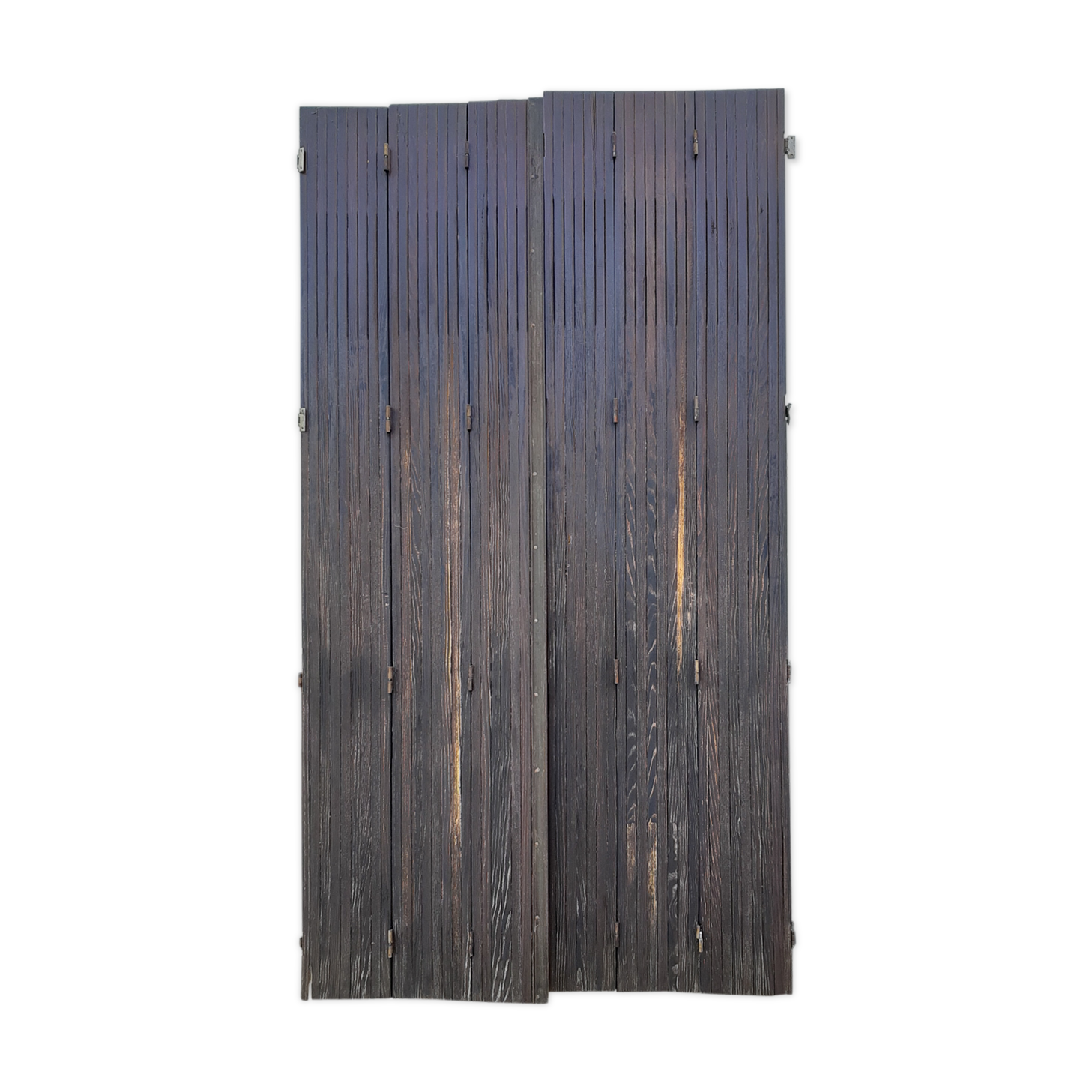 Ancient persians in pine