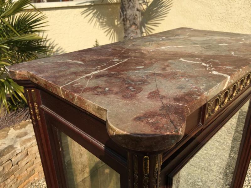 Mahogany Showcase - Bronze Golden Style Louis XVI