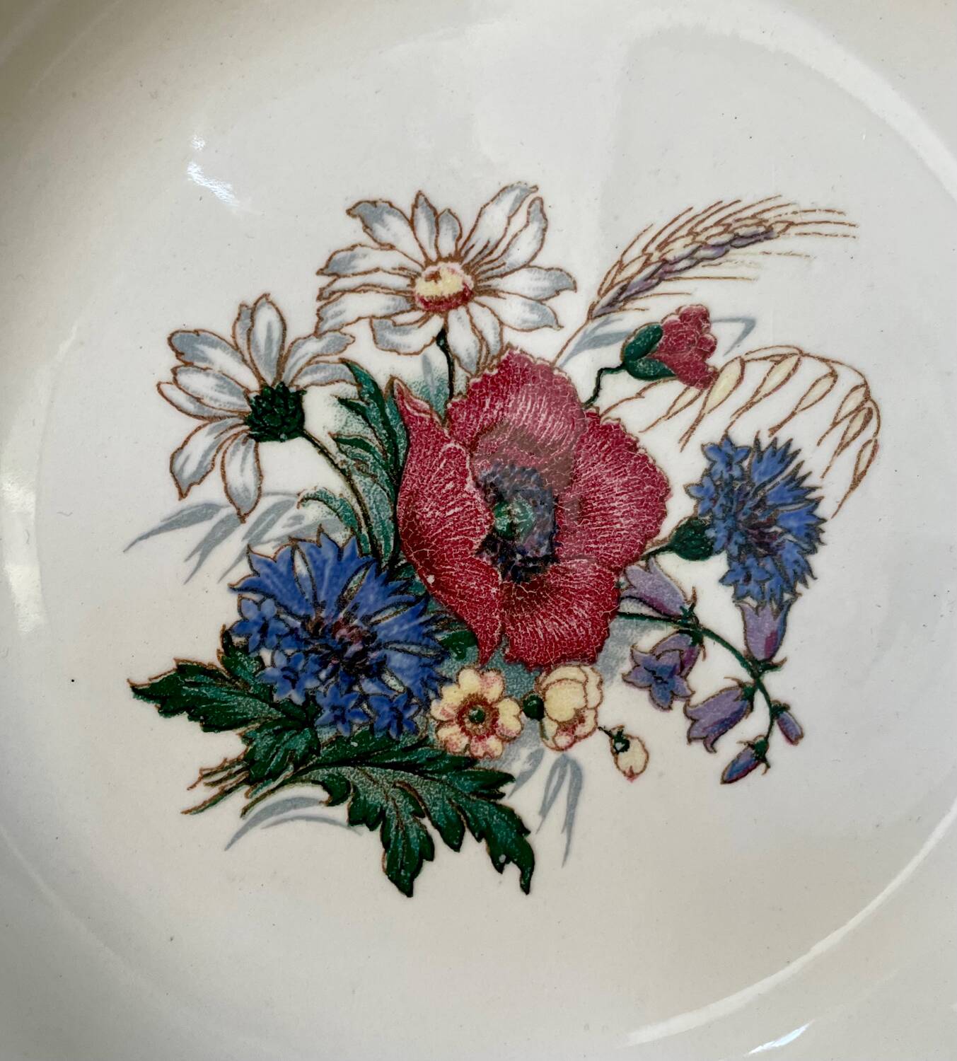 Series of 12 Sarreguemines France soup plates, Agreste collection