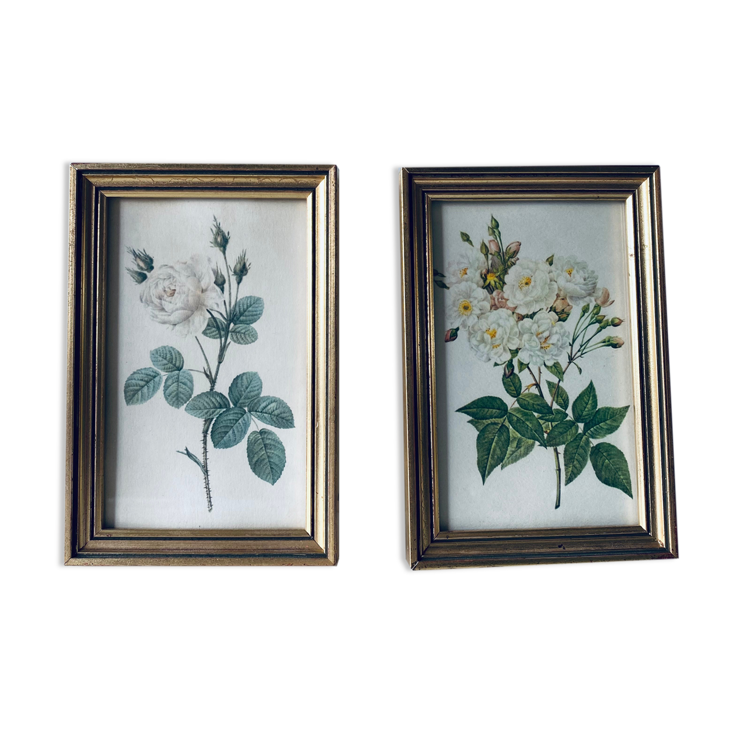 Duo of framed lithographs