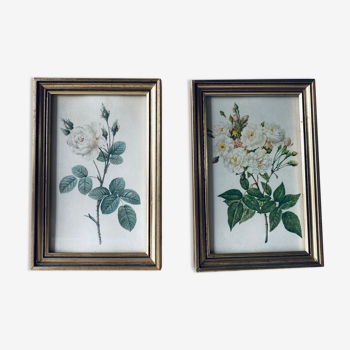Duo of framed lithographs