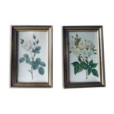 Duo of framed lithographs