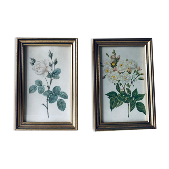 Duo of framed lithographs