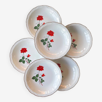 Assiettes creuses en porcelaine de Digoin