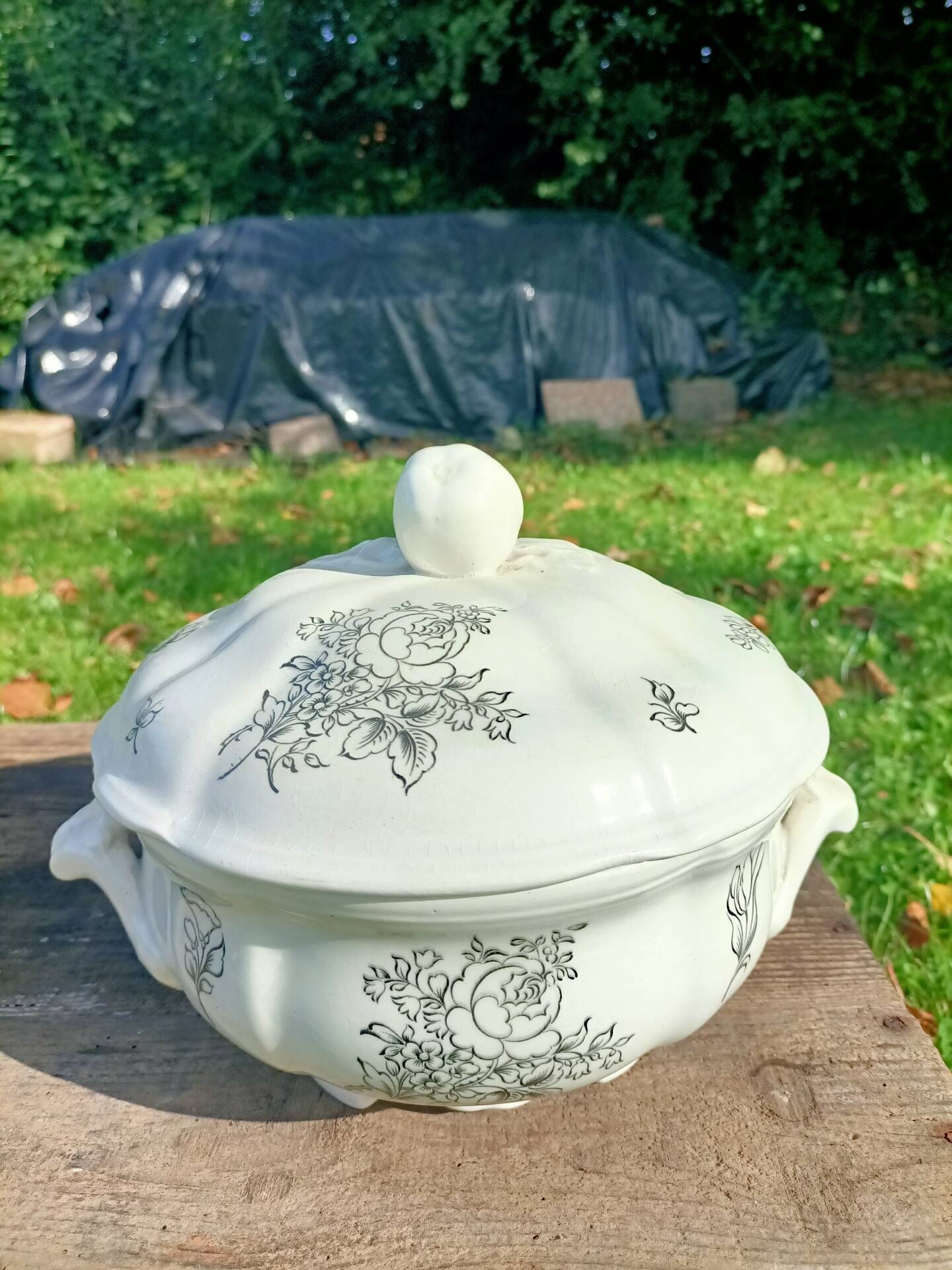 Soup tureen ~ Lunéville