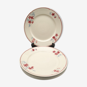 Lot 5 assiettes demi porcelaine fleurs badonviller