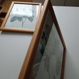 Vintage botanical illustration reboute.