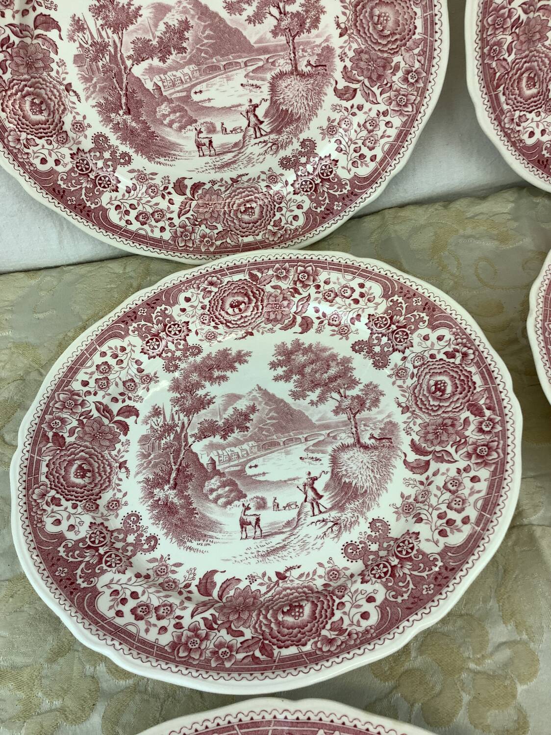 6 Villeroy and Boch Dinner Plates