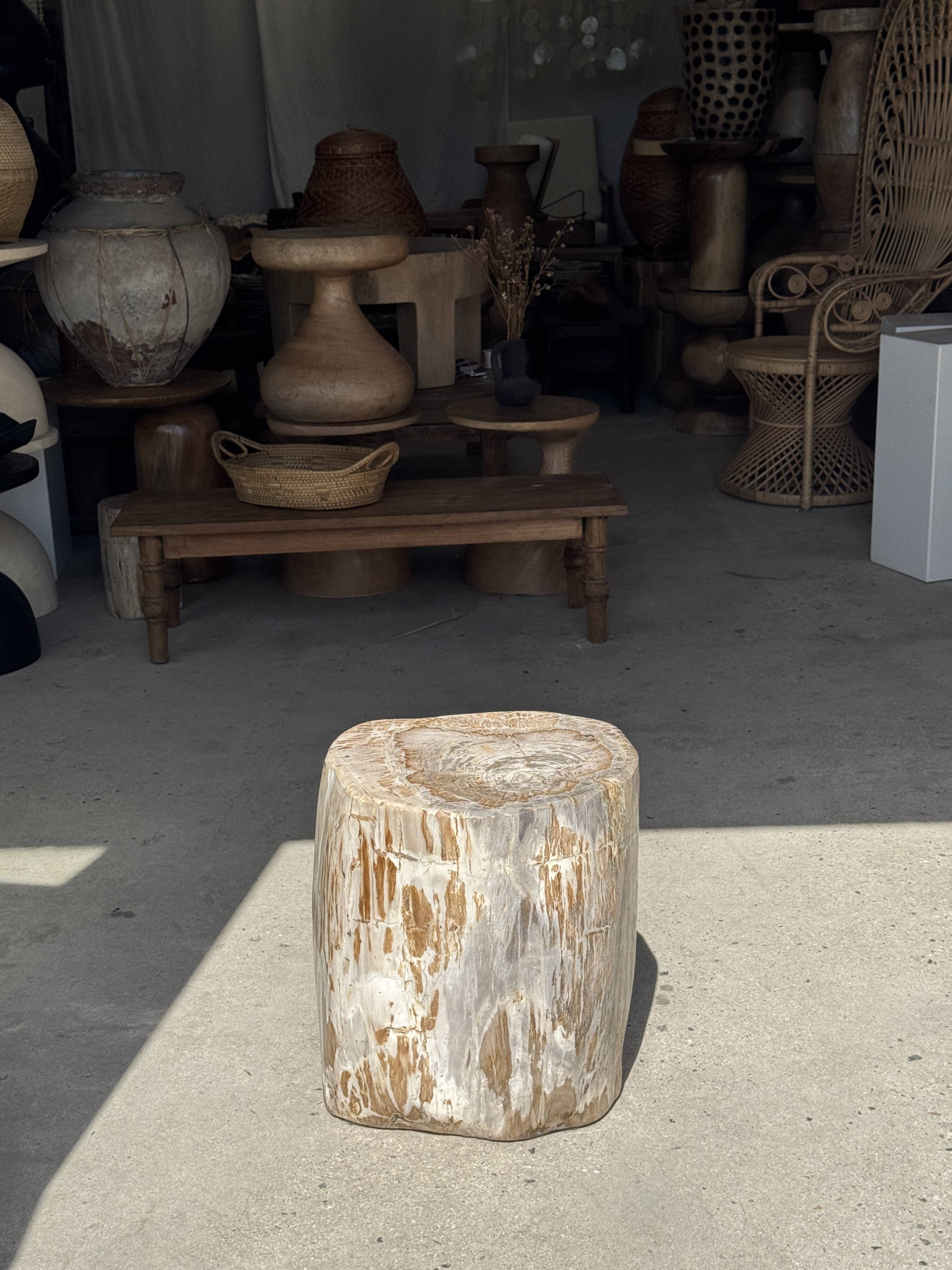 Very large white and grey petrified wood side table H45 D39 - 334