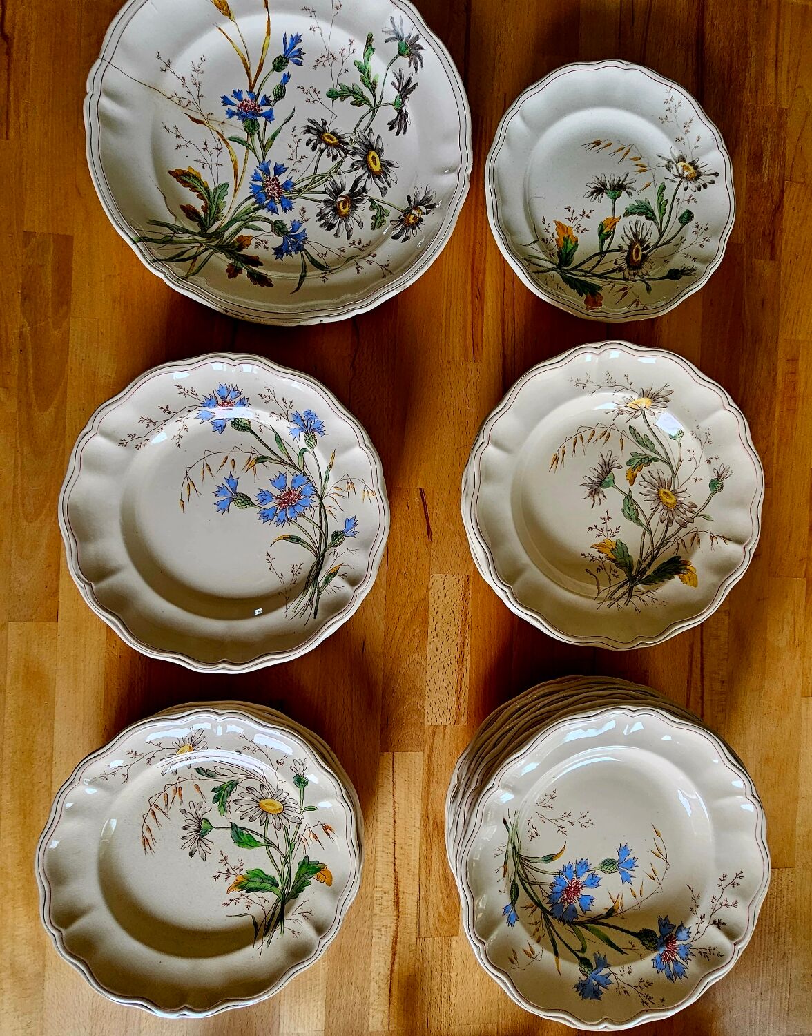 Lot plates, compotier, dish longchamp daisies iron earth