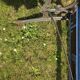 Antique garden bench