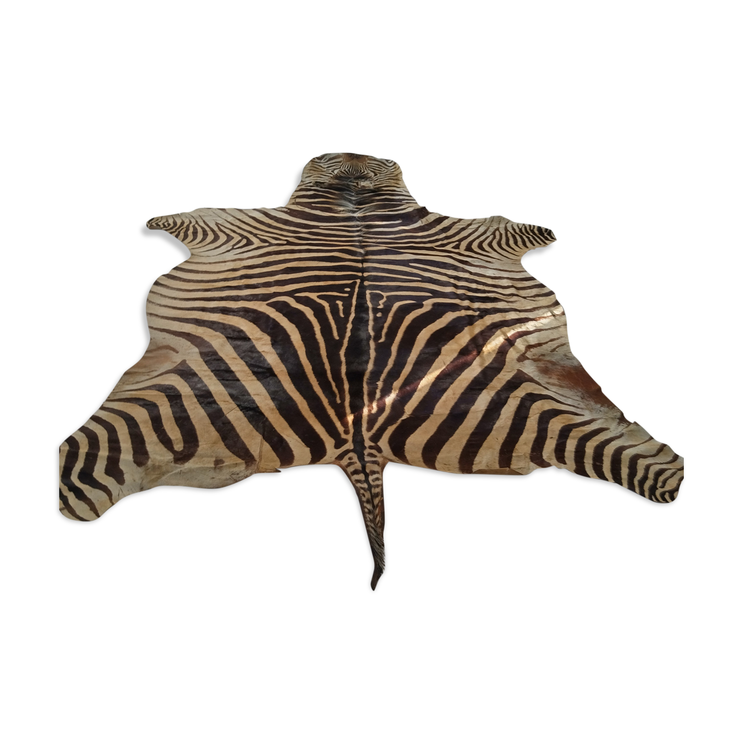 Zebra skin