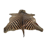 Zebra skin