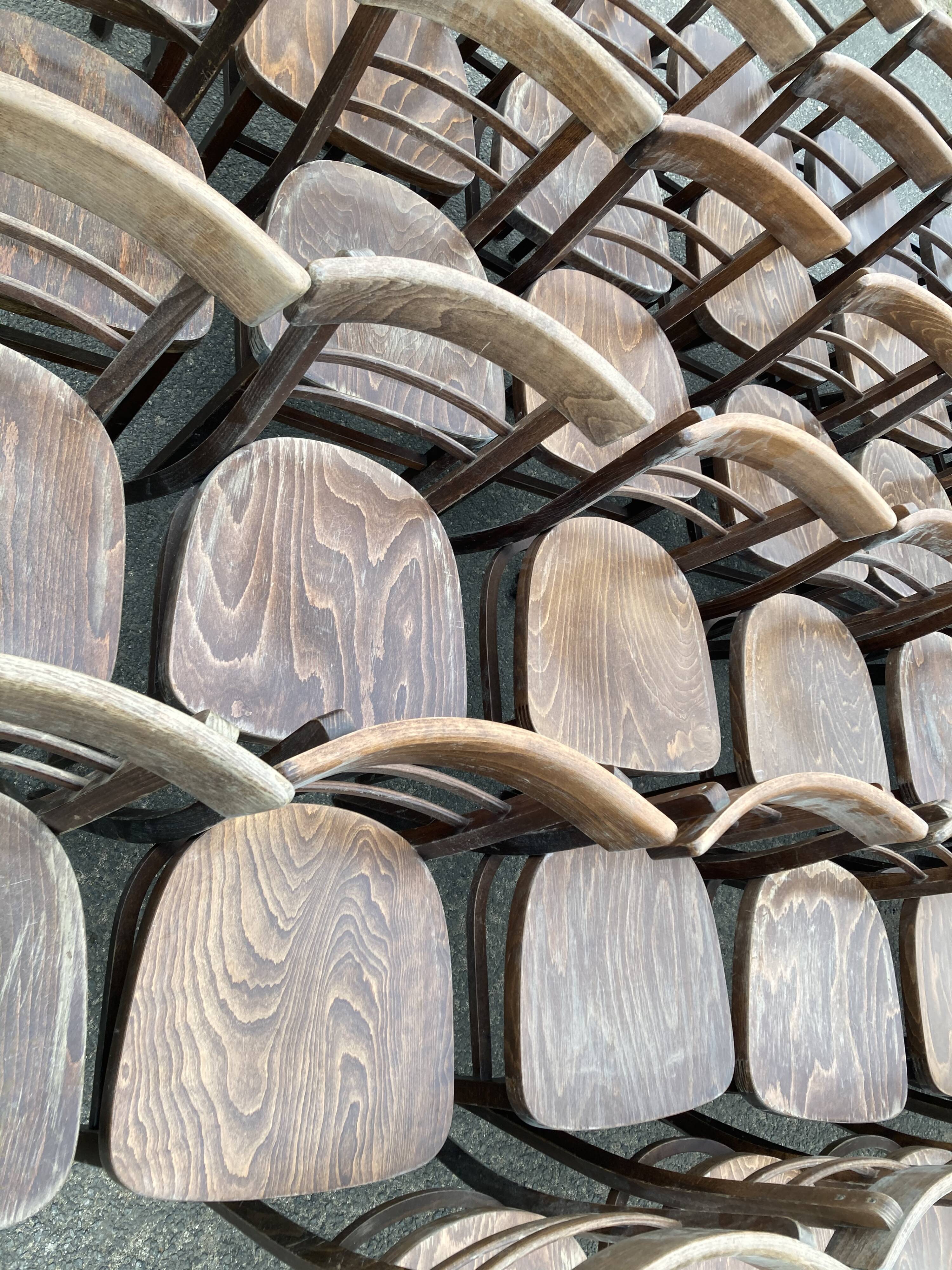 Set of 40 old beech bistro chairs