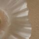 Frosted glass tulip hanging lamp