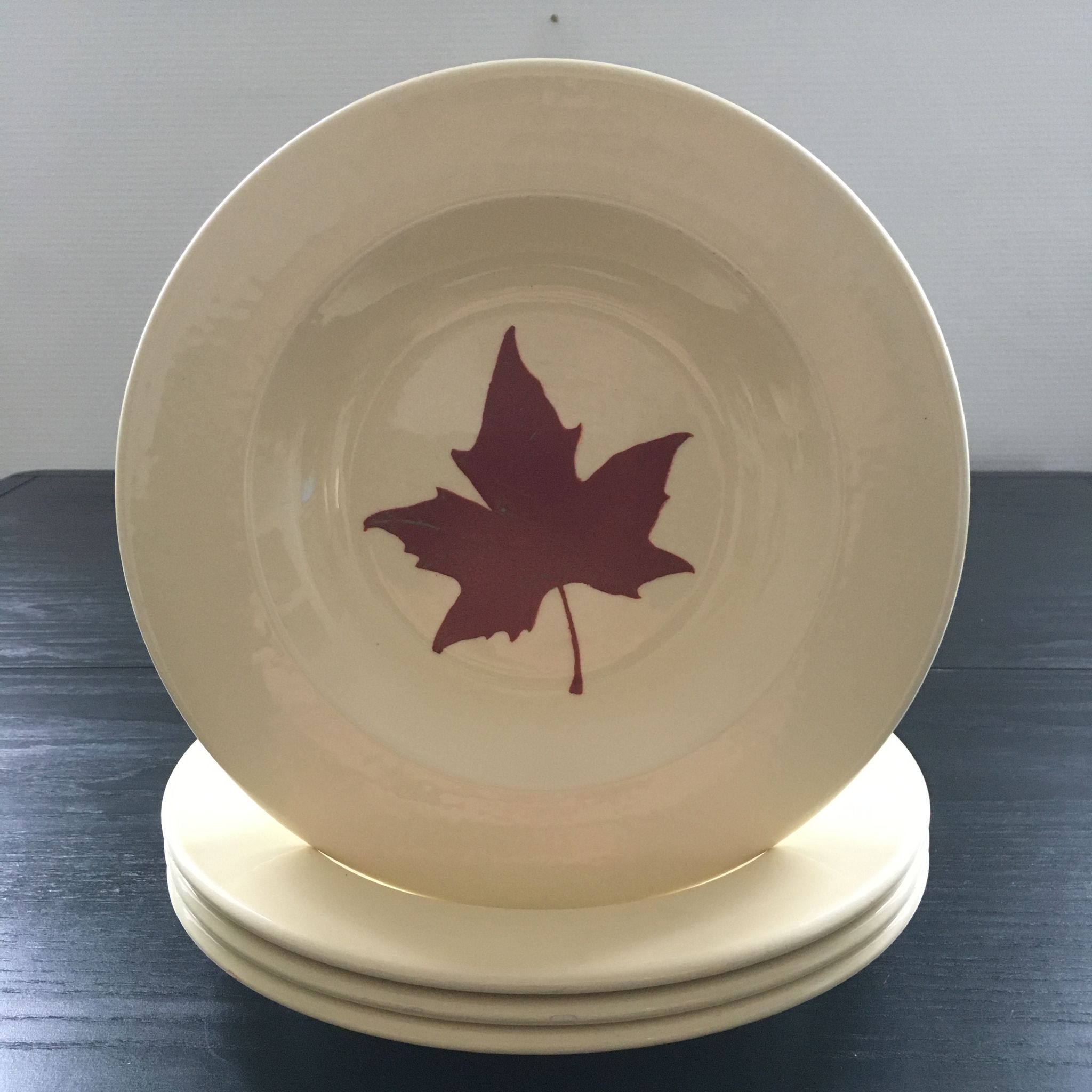 Lot 4 assiettes décor feuille