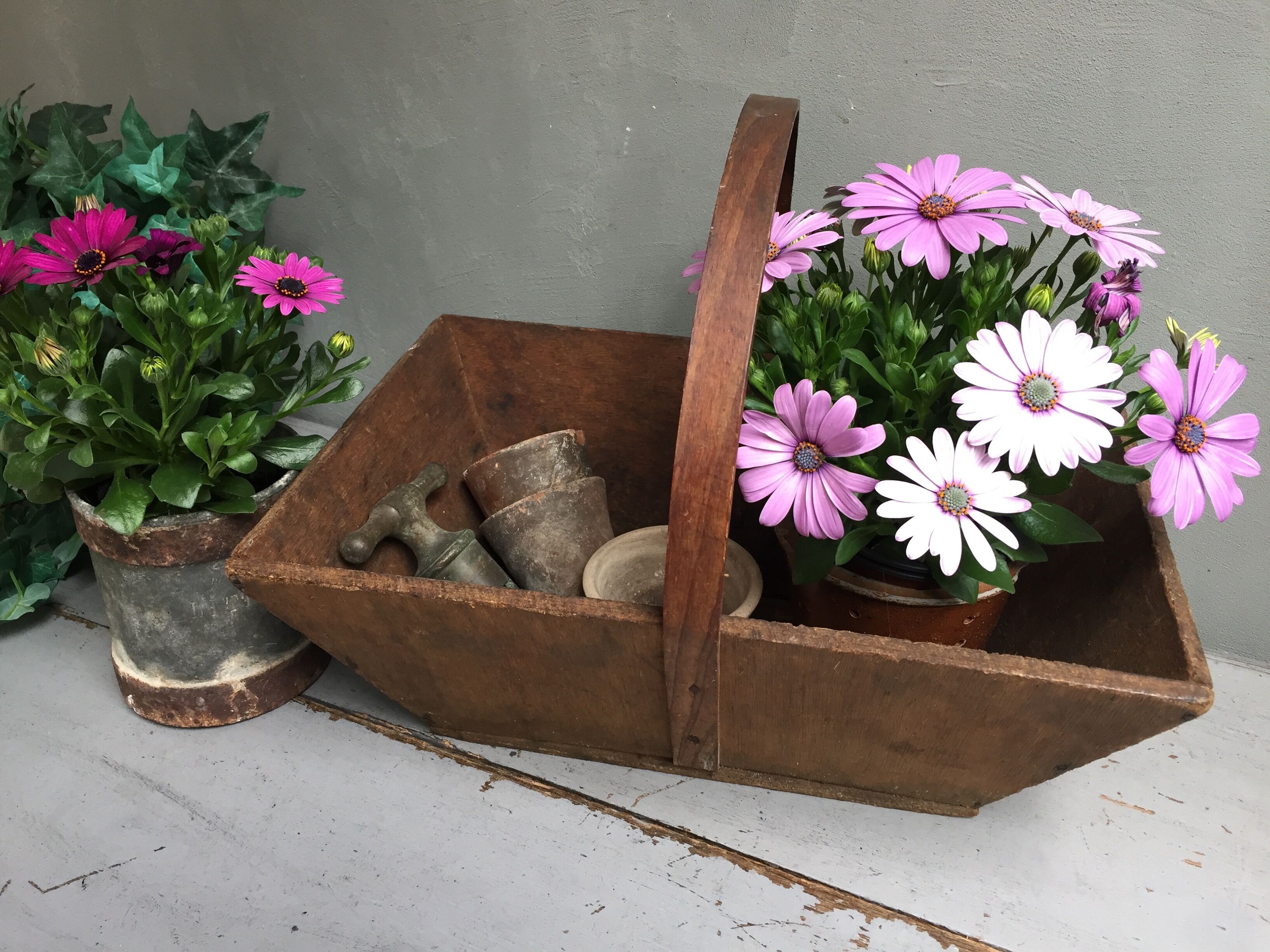Basket of gardener