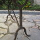 Antique marble bistro table and cast iron foot