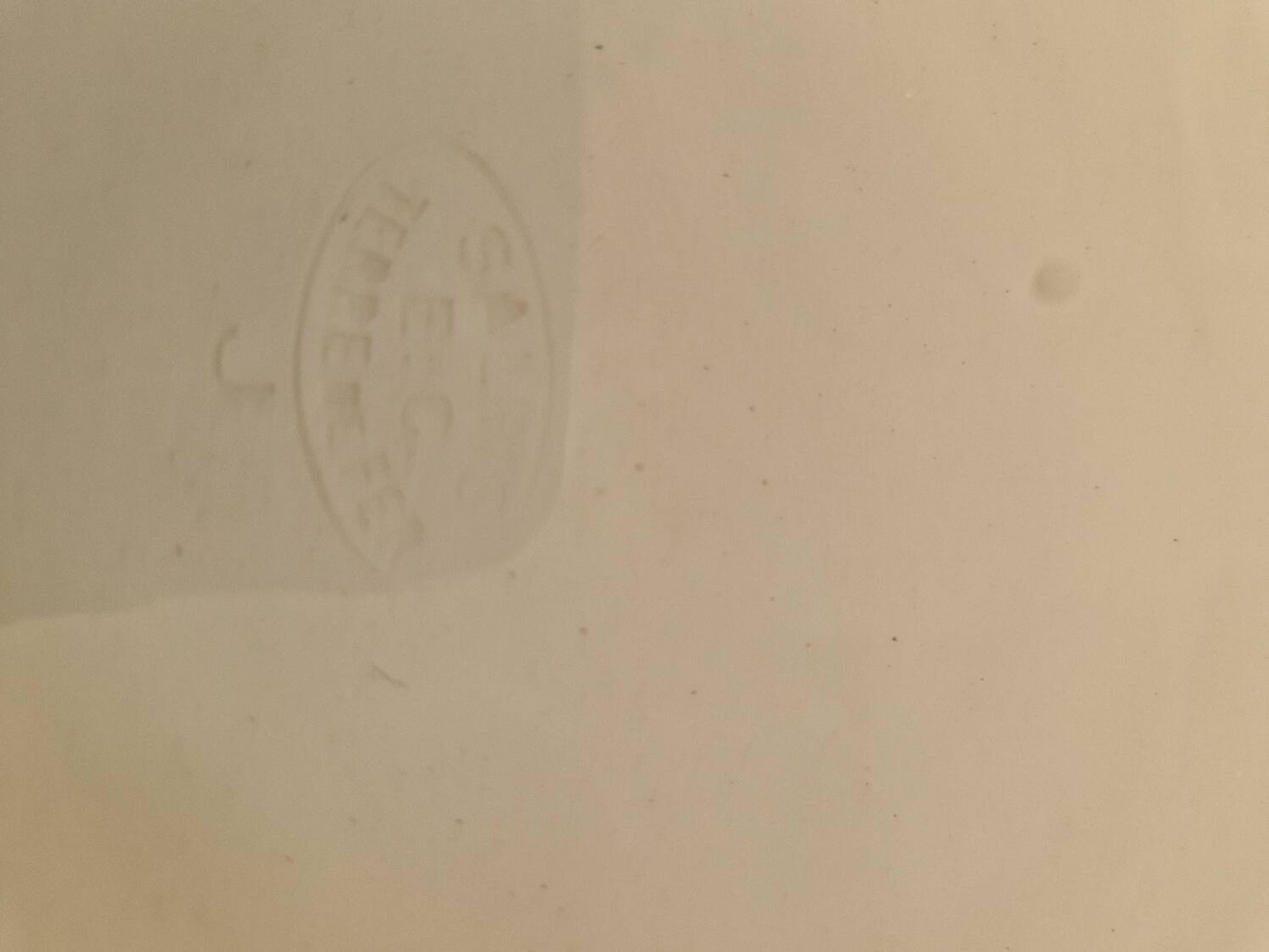 Lot De 2 Grands Plats Salins Modèle Guirlandes LXVI